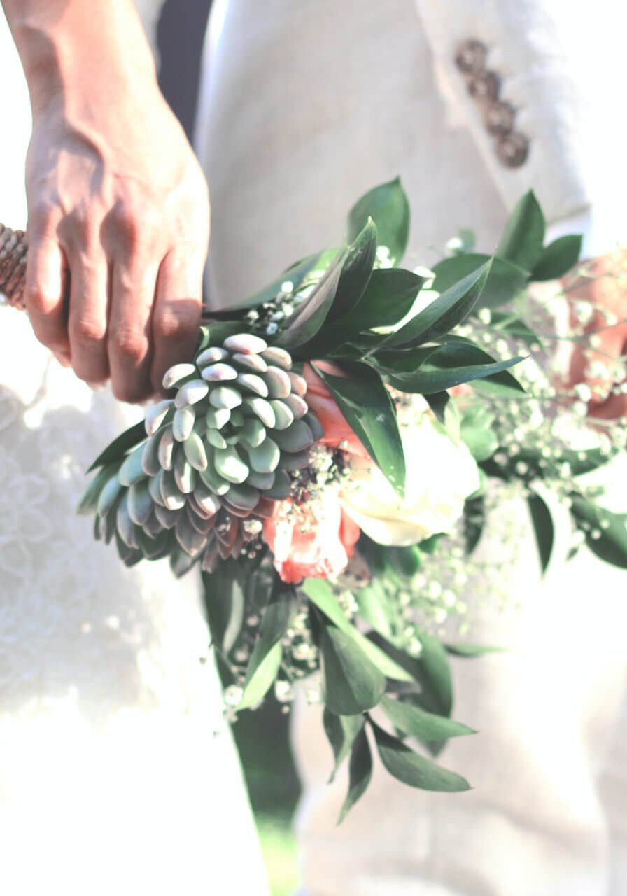 fernanda-mendez-XSbJiHcPUAk-unsplash