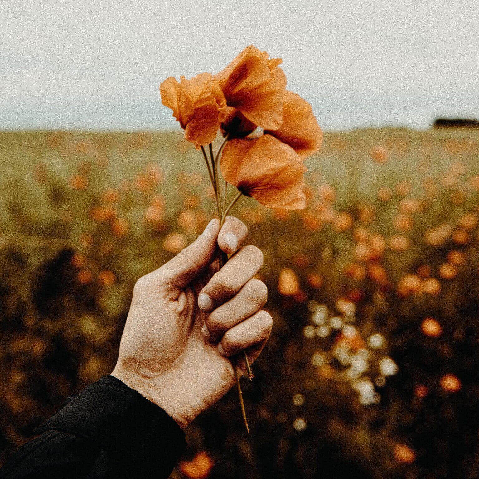 flavio-gasperini-0Yxi-o9fjAM-unsplash